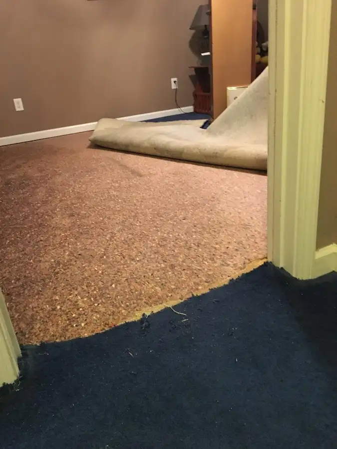 Carpet pad removal revealing water damage during Drying & Dehumidification in Town and Country