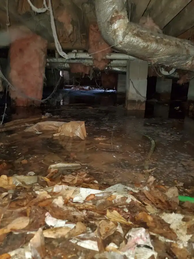 Crawl space flood assessment for Leak Detection & Repair in Town and Country